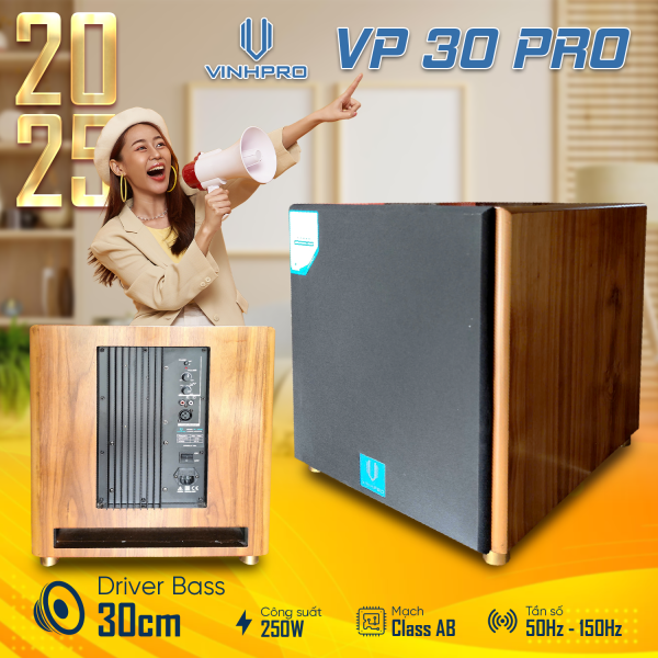 Loa Sub 3 tấc VINHPRO VP-30PRO