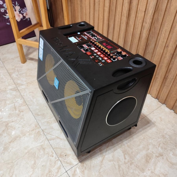 LOA  XÁCH TAY VINH PRO - V866 2 BASS  25CM CÔNG SUẤT 500W