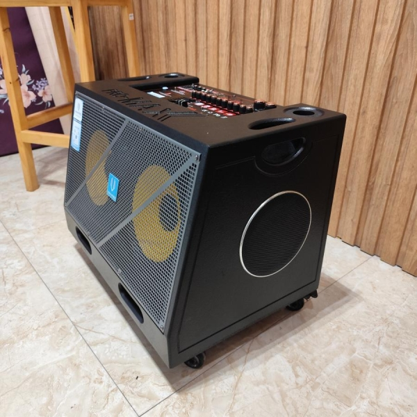 LOA  XÁCH TAY VINH PRO - V866 2 BASS  25CM CÔNG SUẤT 500W