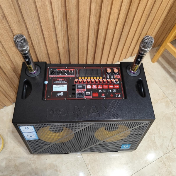 LOA  XÁCH TAY VINH PRO - V866 2 BASS  25CM CÔNG SUẤT 500W