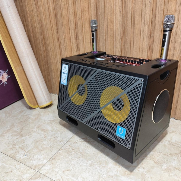 LOA  XÁCH TAY VINH PRO - V866 2 BASS  25CM CÔNG SUẤT 500W